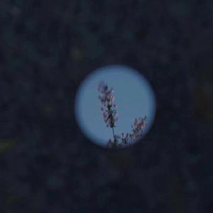 馬与人黃色毛片一部视频
